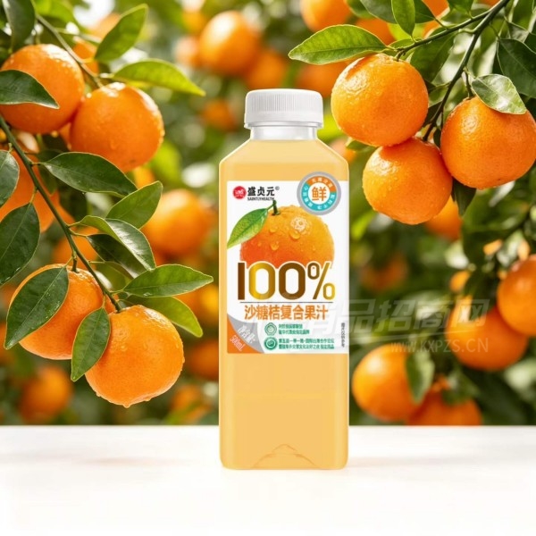 ʢ��Ԫɳ�ǽ۸��Ϲ�֭ɳ�ǽ�֭500ml