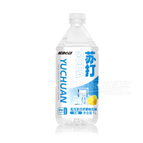 �����Ķ��մ�ˮ�����մ�����ζ����1L