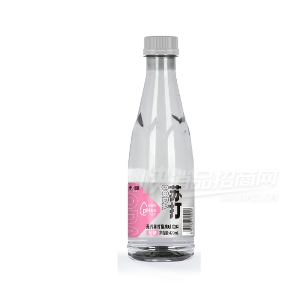 �����մ�ˮˮ�����մ�ˮ����ζ420ml