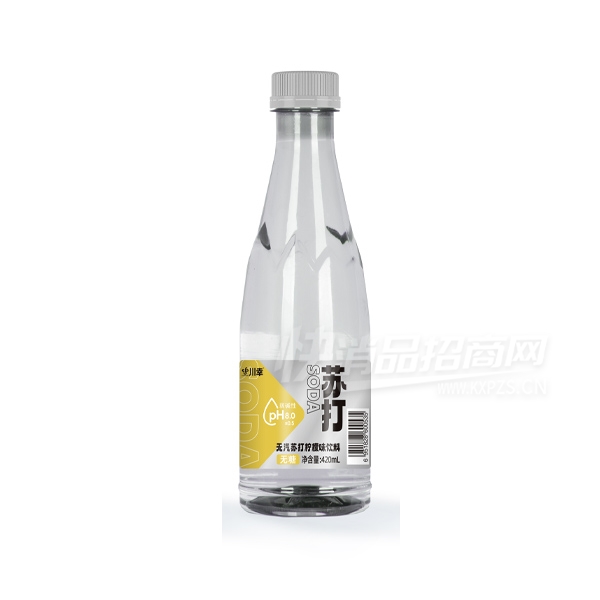 �����մ�ˮˮ�����մ�ˮ����ζ420ml