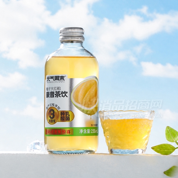 Ԫ����ĩ���ղ��������Ӵ����235ml��Ʒͼ