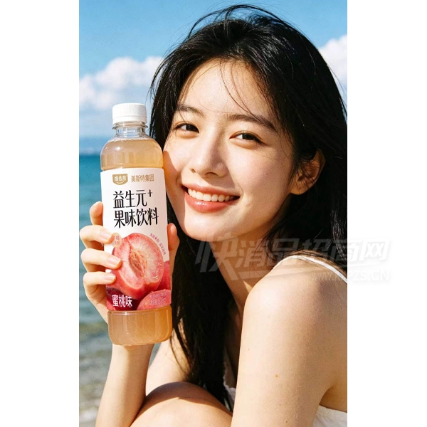 ��˹��ά��Ȫ����Ԫ��ζ��������ζ500ml