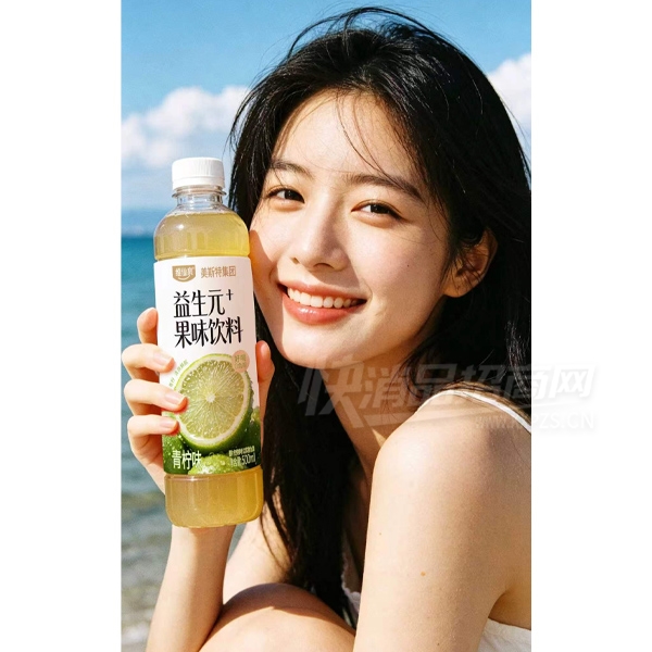 ��˹��ά��Ȫ����Ԫ��ζ��������ζ500ml