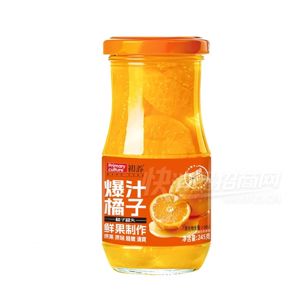 ������֭���ӹ�ͷʳƷ