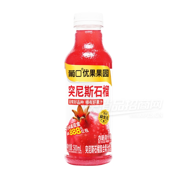 �Ͽ��Ź���԰ͻ��˹ʯ��֭��Ʒ500ml
