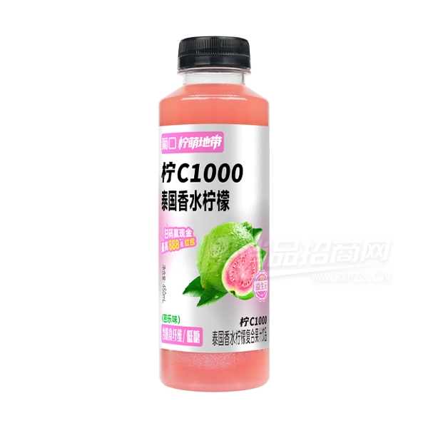 �Ͽ����ȵش���C̩����ˮ���ʸ��Ϲ�֭����ζ450ml